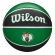 Bola Basquete Wilson NBA Tribute #7 Boston Celtics - Preto/Verde
