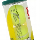 Tubo Bola de Tênis Wilson Championship Regular Duty com 3 Unidades - Amarelo