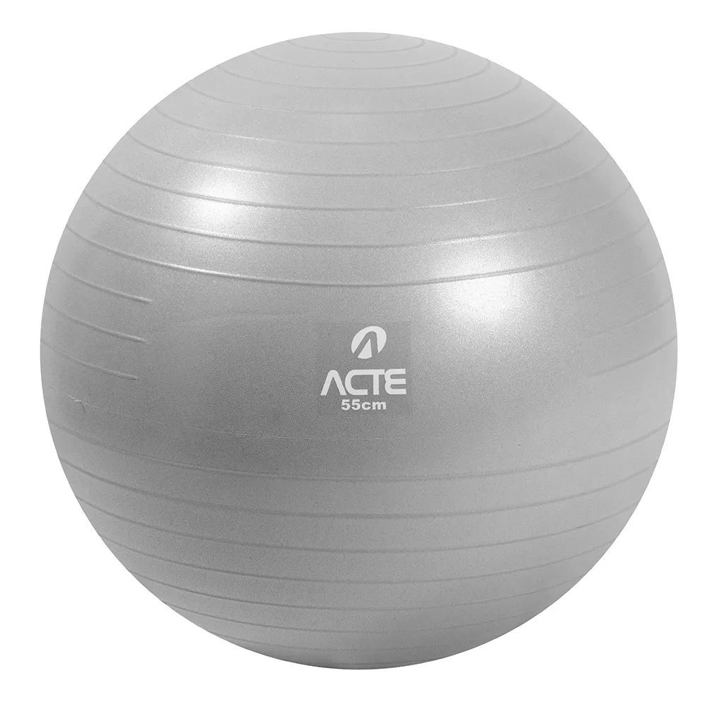 Bola de Ginástica 55cm Com Bomba de Ar - Acte Sports - Cinza