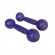 Par de Halteres Emborrachado para Musculação 2kg Roxo - Roxo/Branco