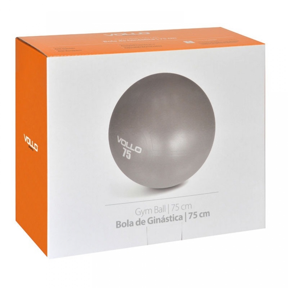 Bola de Ginástica Gym Ball 75cm - Vollo - Cinza