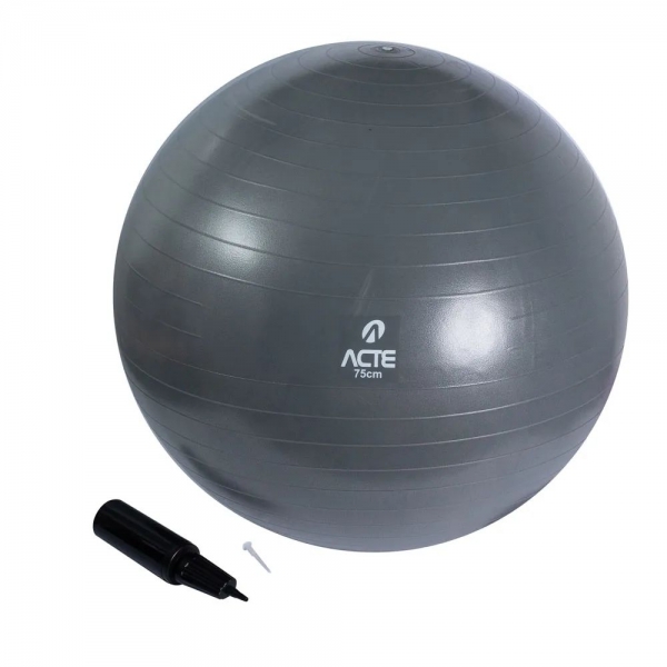 Bola de Ginástica 75cm Cinza Com Bomba de Ar - Acte Sports - Cinza