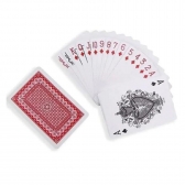 Baralho Duplo Profissional Djw com Estojo de Acrílico - Azul Vermelho